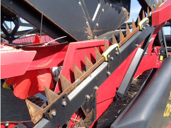 Leasing de Rostselmash RSM 161 Rostselmash RSM 161: foto 4