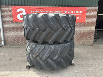 Neumáticos y llantas