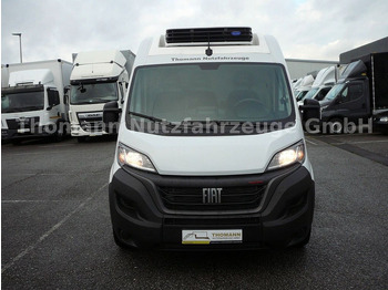 Furgoneta frigorifica nuevo Fiat Ducato Kühlkasten L4/H2 Carrier Xarios 300GH: foto 2