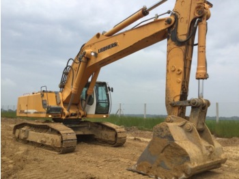 Excavadora de cadenas Liebherr R954 C HD: foto 1