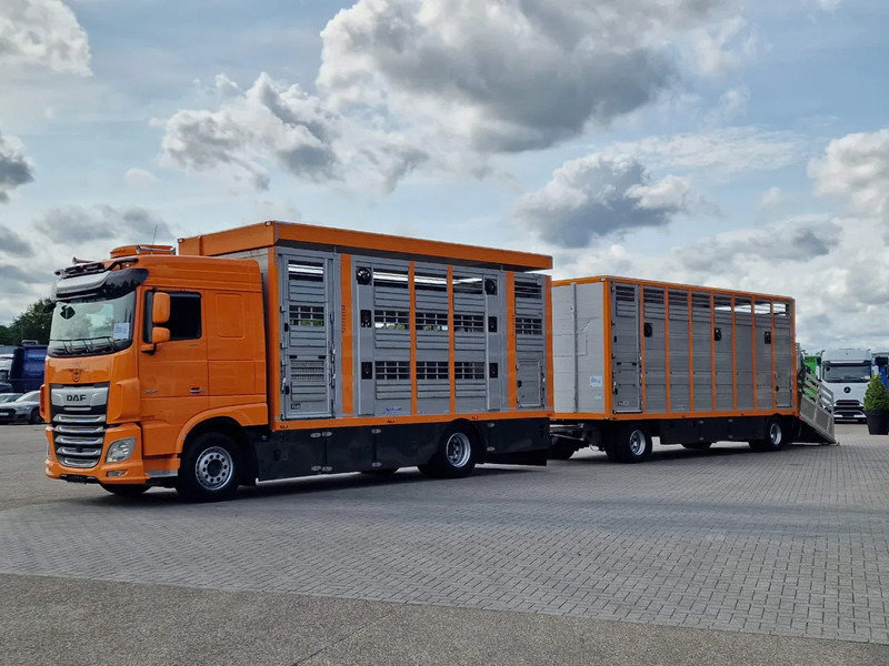 DAF XF 530 4x2 - Livestock Menke 2 deck + 2018 Menke trailer - Water + Ventilation - Lifting roof - Camión transporte de ganado: foto 3 DAF XF 530 4x2 - Livestock Menke 2 deck + 2018 Menke trailer - Water + Ventilation - Lifting roof - Camión transporte de ganado: foto 3