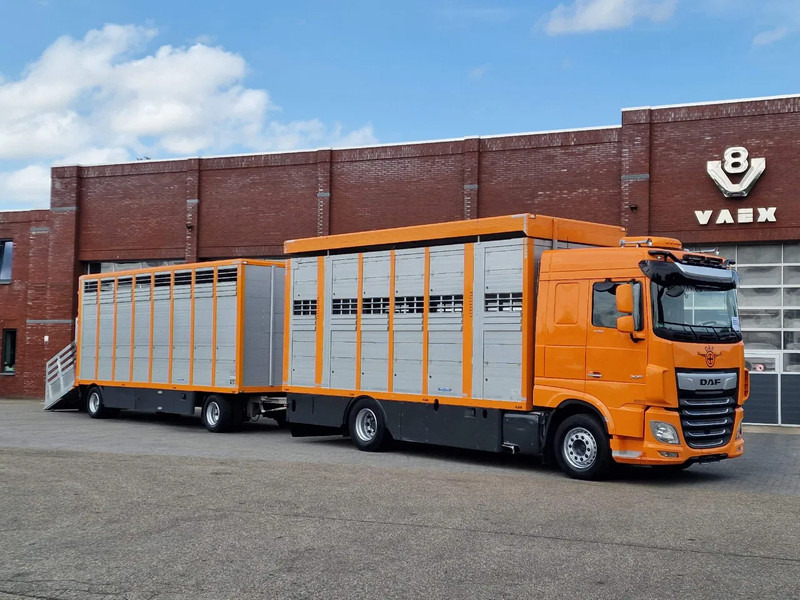 DAF XF 530 4x2 - Livestock Menke 2 deck + 2018 Menke trailer - Water + Ventilation - Lifting roof - Camión transporte de ganado: foto 1 DAF XF 530 4x2 - Livestock Menke 2 deck + 2018 Menke trailer - Water + Ventilation - Lifting roof - Camión transporte de ganado: foto 1