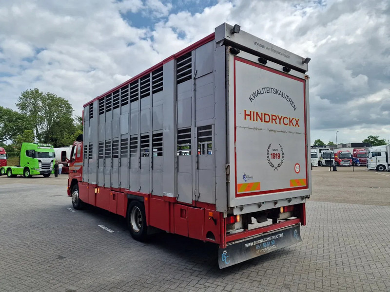 Volvo FM 250 4x- Livestock 2 deck - Lifting floors - Loadlift - Manual gearbox - Camión transporte de ganado: foto 5 Volvo FM 250 4x- Livestock 2 deck - Lifting floors - Loadlift - Manual gearbox - Camión transporte de ganado: foto 5