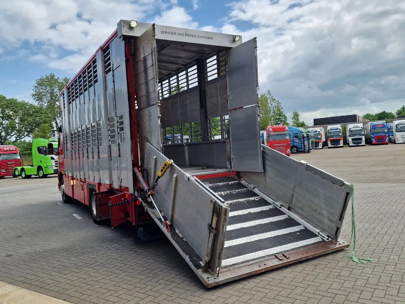 Camión transporte de ganado Volvo FM 250 4x- Livestock 2 deck - Lifting floors - Loadlift - Manual gearbox: foto 6 Camión transporte de ganado Volvo FM 250 4x- Livestock 2 deck - Lifting floors - Loadlift - Manual gearbox: foto 6