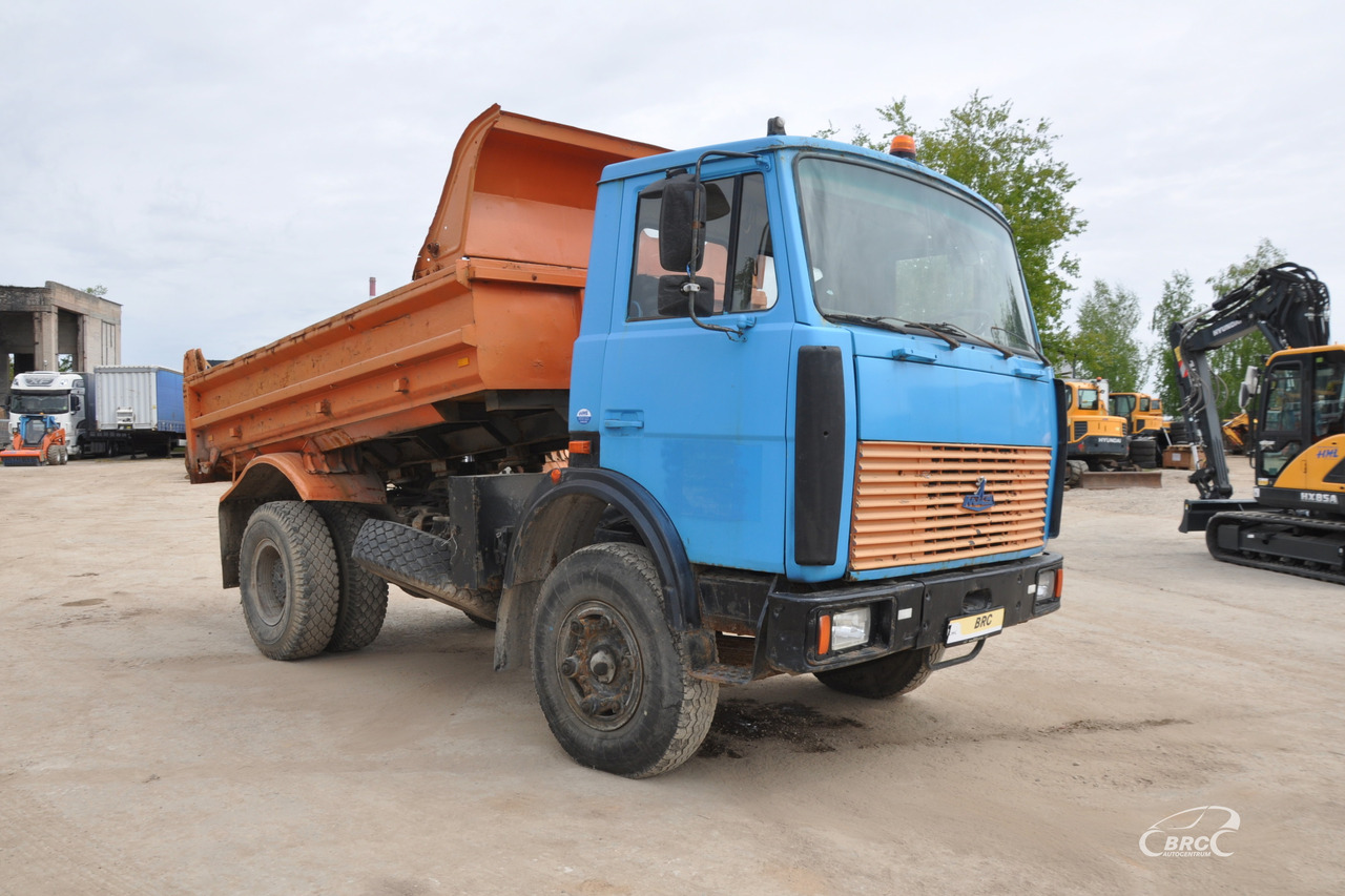 MAZ 5551 - Camión volquete: foto 2 MAZ 5551 - Camión volquete: foto 2