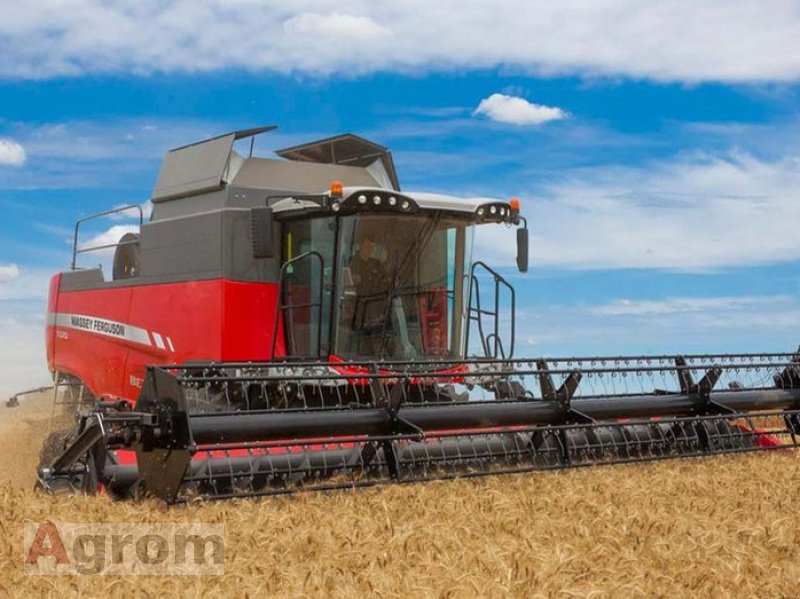 Massey Ferguson 7360 Beta - Cosechadora de granos: foto 3 Massey Ferguson 7360 Beta - Cosechadora de granos: foto 3