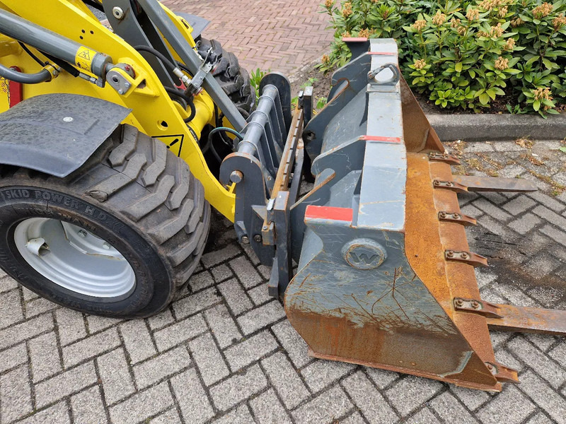 Leasing de WACKER NEUSON WL 25 WACKER NEUSON WL 25: foto 6