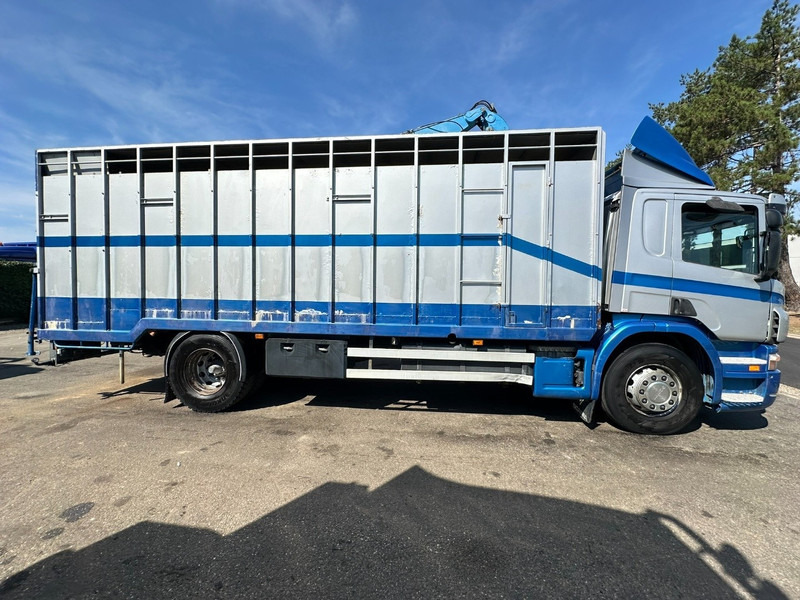 Scania P310 4x2 LIVESTOCK / VEEWAGEN / TIERTRANSPORT / BETAILLERE - ALU BOX 7m - MANUAL - A/C - BELGIAN TRUCK - Camión transporte de ganado: foto 4 Scania P310 4x2 LIVESTOCK / VEEWAGEN / TIERTRANSPORT / BETAILLERE - ALU BOX 7m - MANUAL - A/C - BELGIAN TRUCK - Camión transporte de ganado: foto 4