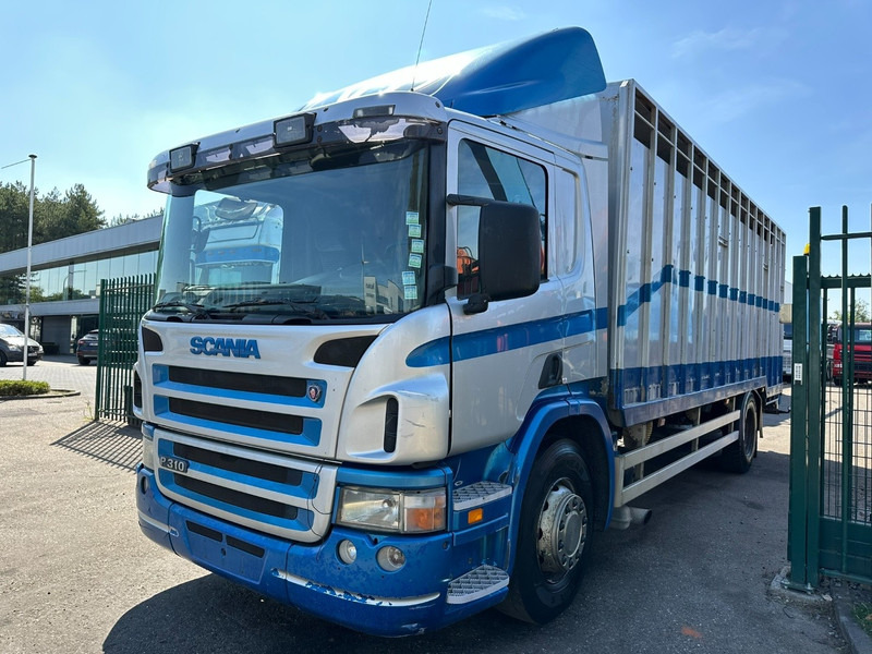 Scania P310 4x2 LIVESTOCK / VEEWAGEN / TIERTRANSPORT / BETAILLERE - ALU BOX 7m - MANUAL - A/C - BELGIAN TRUCK - Camión transporte de ganado: foto 3 Scania P310 4x2 LIVESTOCK / VEEWAGEN / TIERTRANSPORT / BETAILLERE - ALU BOX 7m - MANUAL - A/C - BELGIAN TRUCK - Camión transporte de ganado: foto 3