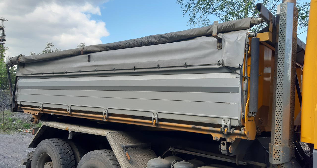 DAF XF 460 6x4 SCHWARZMÜLLER / ZF INTARDER / NOSNSOT 13.900 kg - Camión volquete: foto 5 DAF XF 460 6x4 SCHWARZMÜLLER / ZF INTARDER / NOSNSOT 13.900 kg - Camión volquete: foto 5