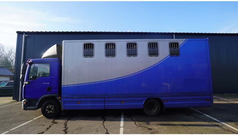 MAN TGL 8.180 HORSE TRANPORT 515.000KM - Camión para caballos: foto 1 MAN TGL 8.180 HORSE TRANPORT 515.000KM - Camión para caballos: foto 1