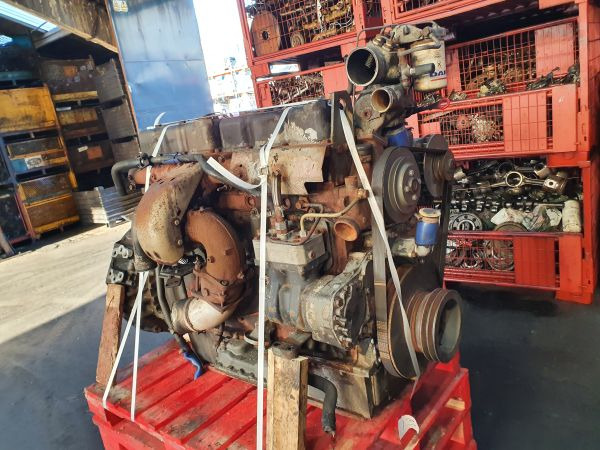 DAF WS 242 M - Motor: foto 5 DAF WS 242 M - Motor: foto 5