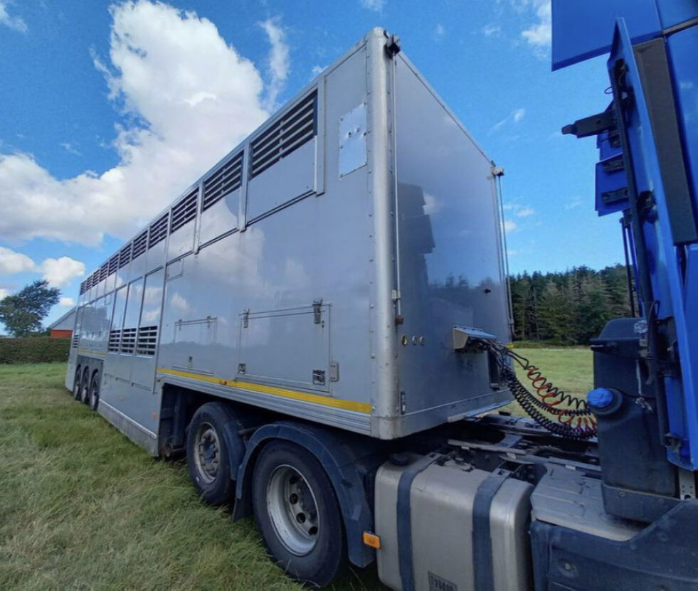 Gray and Adams Gadd3 / Works Great / Hydraulic / 2 Levels - Semirremolque transporte de ganado: foto 4 Gray and Adams Gadd3 / Works Great / Hydraulic / 2 Levels - Semirremolque transporte de ganado: foto 4