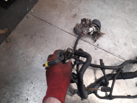 New Holland T7030, T7040 Power Command Transmission Frame Rear Wiring Loom - Cables/ Alambres: foto 2 New Holland T7030, T7040 Power Command Transmission Frame Rear Wiring Loom - Cables/ Alambres: foto 2