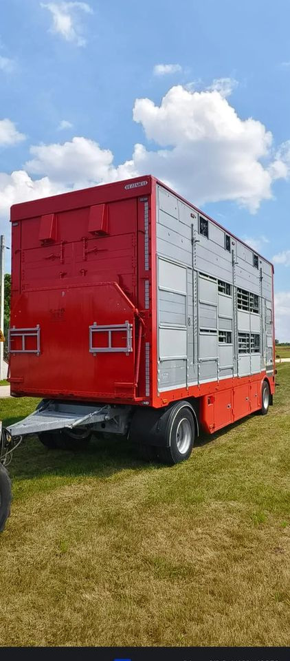 Pezzaioli RBA22 Dwuosiowa Przyczepa – 2x Bydło, 3x Trzoda – 2017r – Bezwypadkowa! - Remolque transporte de ganado: foto 4 Pezzaioli RBA22 Dwuosiowa Przyczepa – 2x Bydło, 3x Trzoda – 2017r – Bezwypadkowa! - Remolque transporte de ganado: foto 4