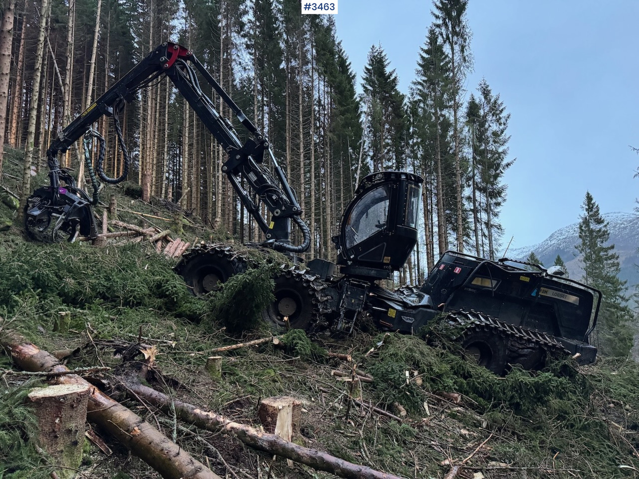Procesadora forestal 2022 Logset 12H GTE: foto 6 Procesadora forestal 2022 Logset 12H GTE: foto 6