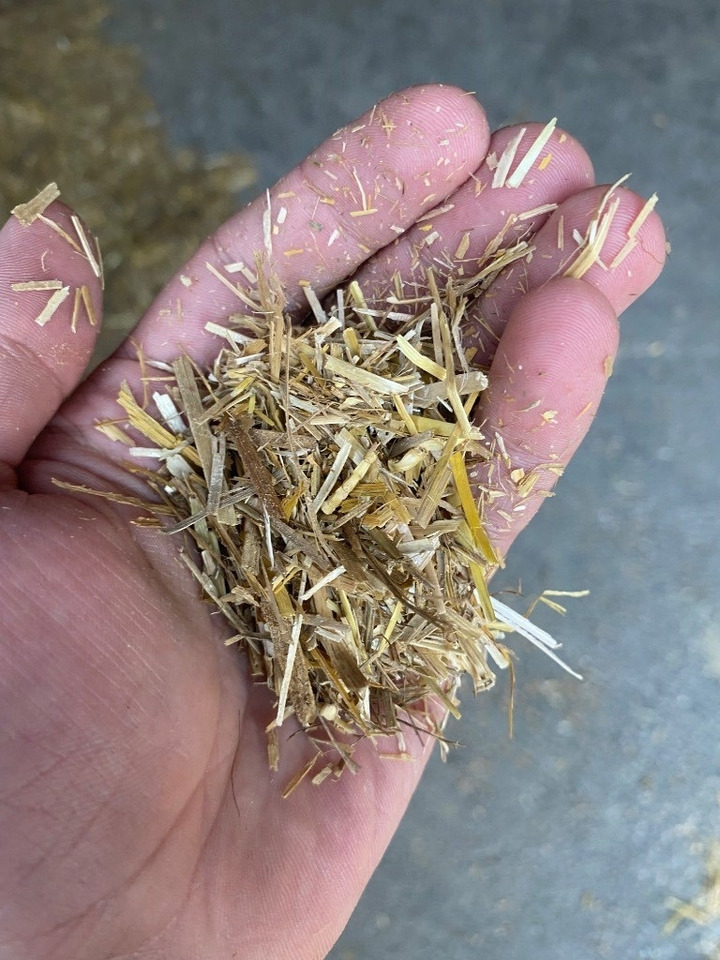 Bizon B-1130 kein teagle tomahawk, roto haybuster - Empajadora: foto 3 Bizon B-1130 kein teagle tomahawk, roto haybuster - Empajadora: foto 3