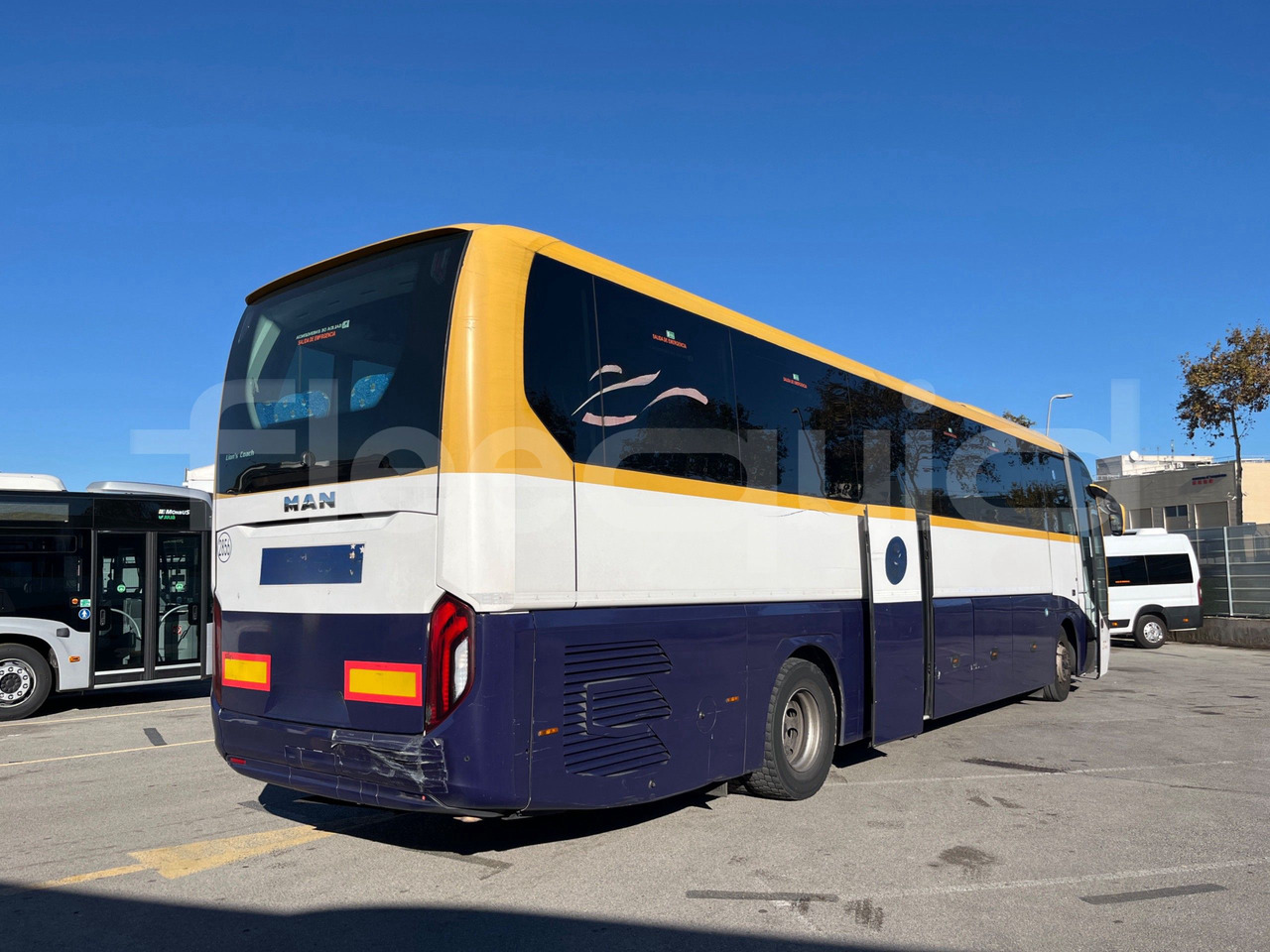 Leasing de Man Lion's Coach Man Lion's Coach: foto 19 Leasing de Man Lion's Coach Man Lion's Coach: foto 19