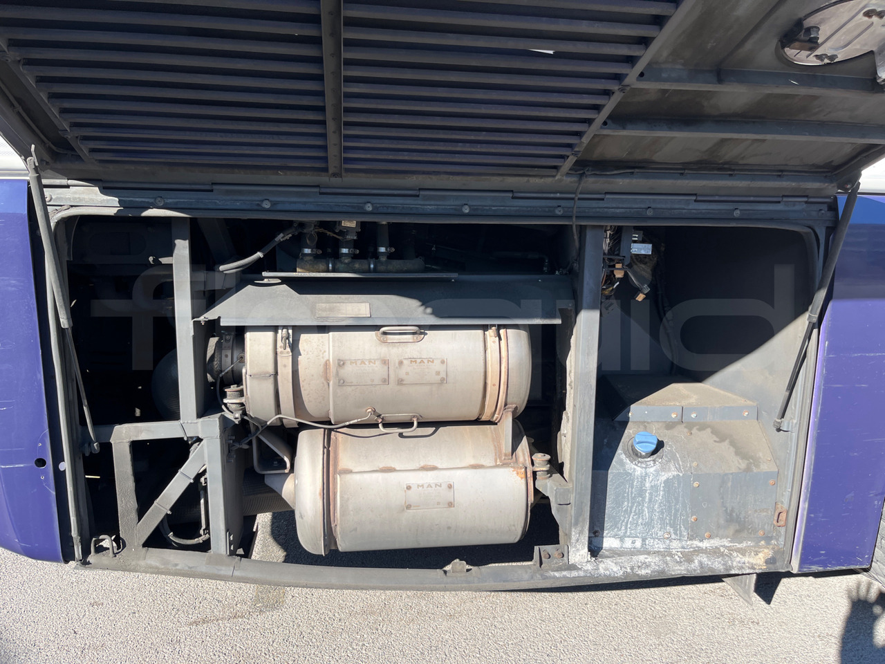 Leasing de Man Lion's Coach Man Lion's Coach: foto 18 Leasing de Man Lion's Coach Man Lion's Coach: foto 18