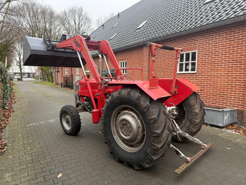 Trakor Massey Ferguson 65 mit Frontlader - Tractor: foto 4 Trakor Massey Ferguson 65 mit Frontlader - Tractor: foto 4