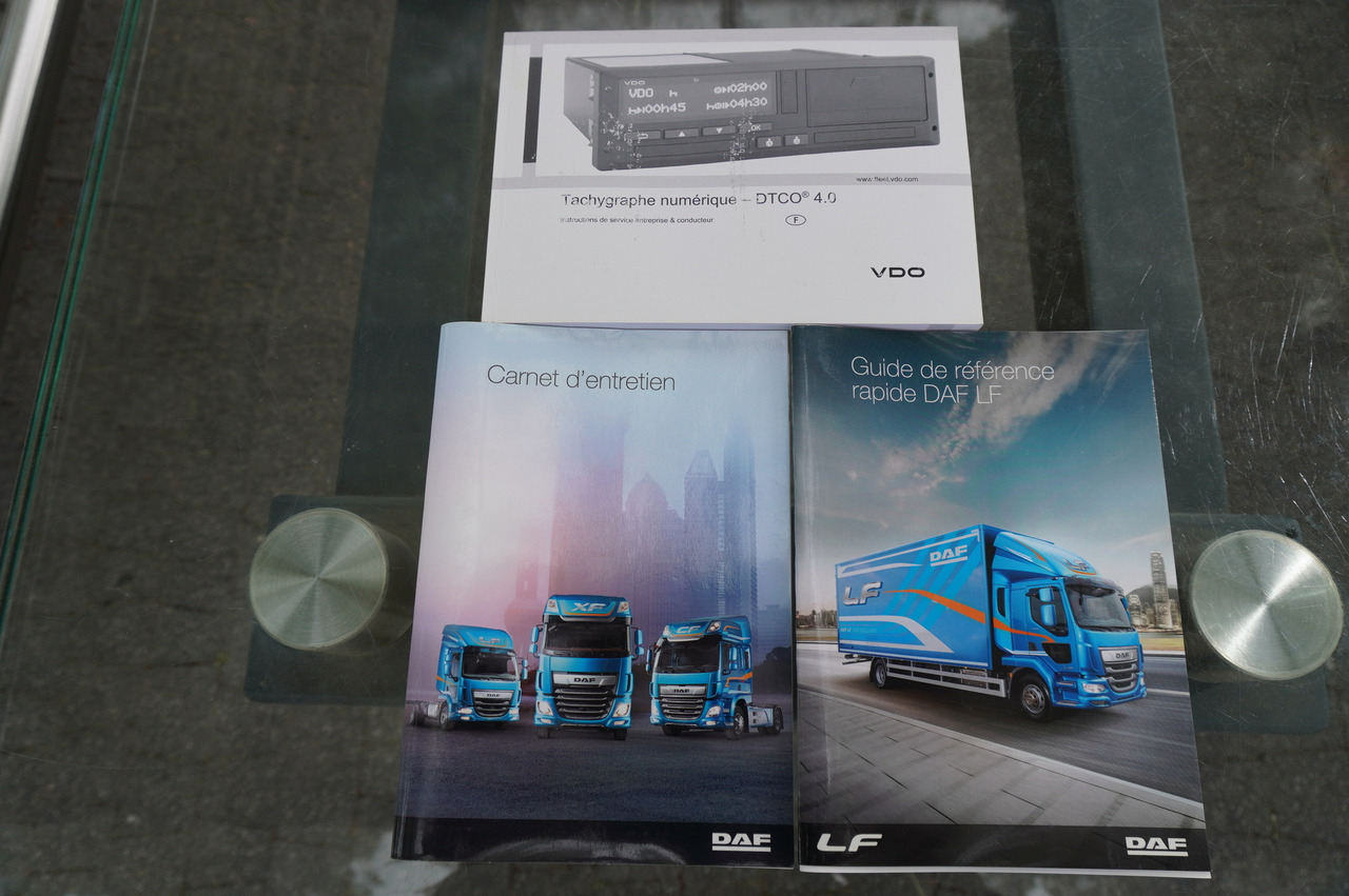 Camión caja cerrada DAF LF 290 / 21 EPAL box / 2021: foto 30