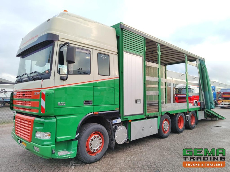 DAF FAK XF95.430 8x2 SuperSpaceCab Euro3 - CurtainSider 7.31m + Ramp 16T - MachineTransporter - 6 Persons (V558) - Camión portavehículos: foto 1 DAF FAK XF95.430 8x2 SuperSpaceCab Euro3 - CurtainSider 7.31m + Ramp 16T - MachineTransporter - 6 Persons (V558) - Camión portavehículos: foto 1