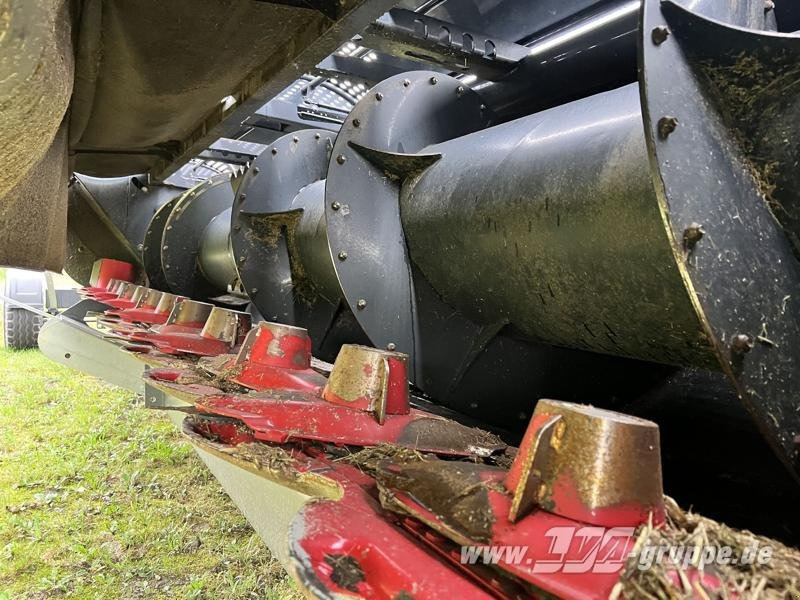 Capello Spartan 610 - Segadora: foto 3 Capello Spartan 610 - Segadora: foto 3