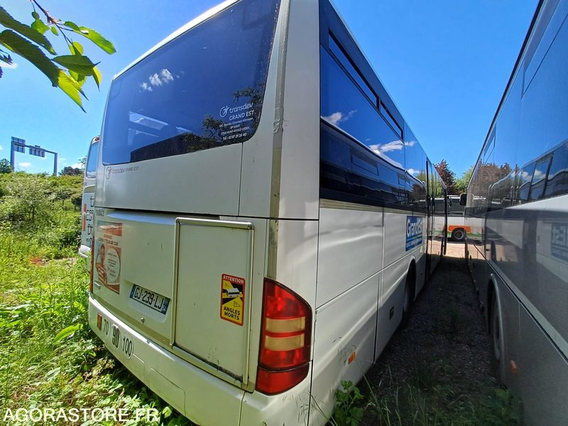 MERCEDES - INTOURO - 2007 / 531917KM - GJ239LJ (10043) - Autobús escolar: foto 4 MERCEDES - INTOURO - 2007 / 531917KM - GJ239LJ (10043) - Autobús escolar: foto 4