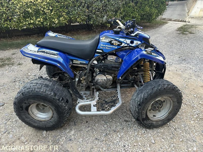 Quad Smc Barossa 250 - Cuadrimoto: foto 2 Quad Smc Barossa 250 - Cuadrimoto: foto 2