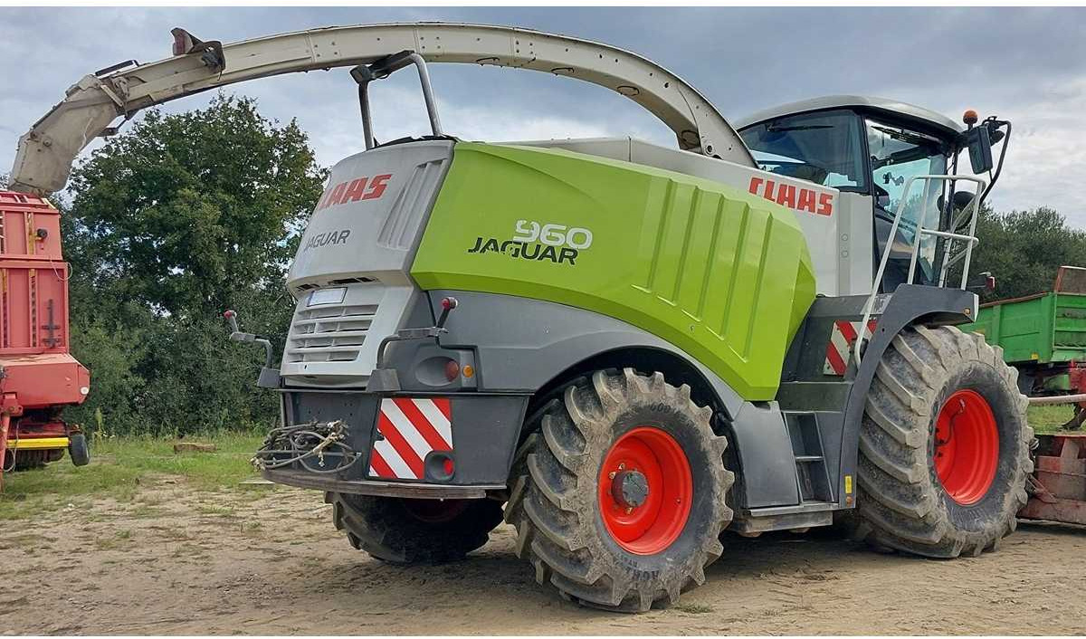 CLAAS - 2011 - 960 - HARVESTER-CHOPPER - Cosechadora de forraje: foto 3 CLAAS - 2011 - 960 - HARVESTER-CHOPPER - Cosechadora de forraje: foto 3