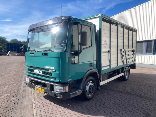 Iveco EuroCargo 65 BLADVERING / HANDGESCHAKELDE - Camión transporte de ganado: foto 3 Iveco EuroCargo 65 BLADVERING / HANDGESCHAKELDE - Camión transporte de ganado: foto 3