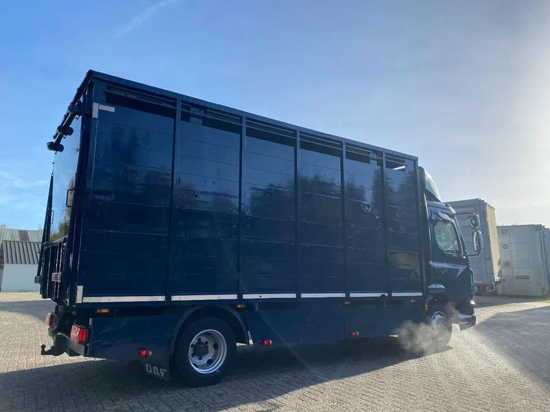 DAF LF 280 - Camión transporte de ganado: foto 3 DAF LF 280 - Camión transporte de ganado: foto 3