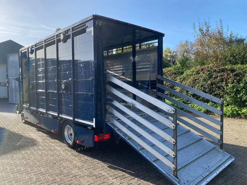 DAF LF 280 - Camión transporte de ganado: foto 5 DAF LF 280 - Camión transporte de ganado: foto 5