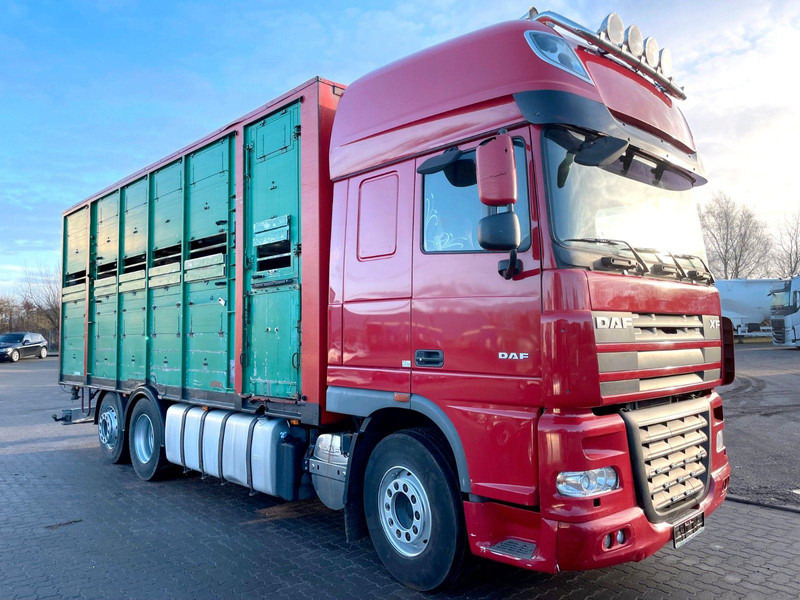 DAF XF 105.460 2-Stock Finkl Viehaufbau / Lenkachs - Camión transporte de ganado: foto 1 DAF XF 105.460 2-Stock Finkl Viehaufbau / Lenkachs - Camión transporte de ganado: foto 1