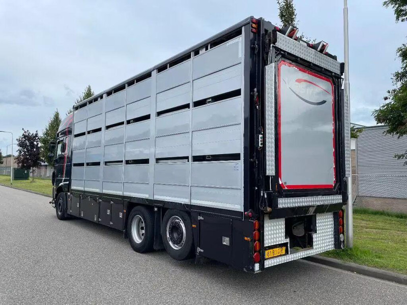 Leasing de DAF XF 460 - Animal transporter DAF XF 460 - Animal transporter: foto 6 Leasing de DAF XF 460 - Animal transporter DAF XF 460 - Animal transporter: foto 6