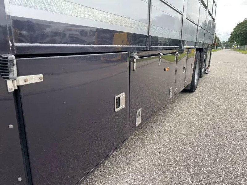 Leasing de DAF XF 460 - Animal transporter DAF XF 460 - Animal transporter: foto 15 Leasing de DAF XF 460 - Animal transporter DAF XF 460 - Animal transporter: foto 15