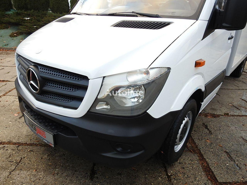 Camión frigorífico Mercedes-Benz SPRINTER 313 Izotermes: foto 16 Camión frigorífico Mercedes-Benz SPRINTER 313 Izotermes: foto 16