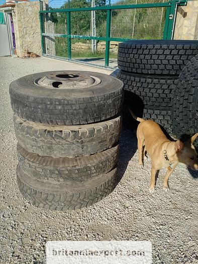 4 x used 7.50-16 LT tyres on 6 studs rims for Toyota Dyna 300 - Rueda completa: foto 3 4 x used 7.50-16 LT tyres on 6 studs rims for Toyota Dyna 300 - Rueda completa: foto 3