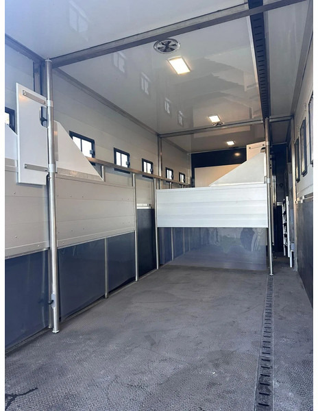 Scania P250 Horse Truck - Camión para caballos: foto 5 Scania P250 Horse Truck - Camión para caballos: foto 5