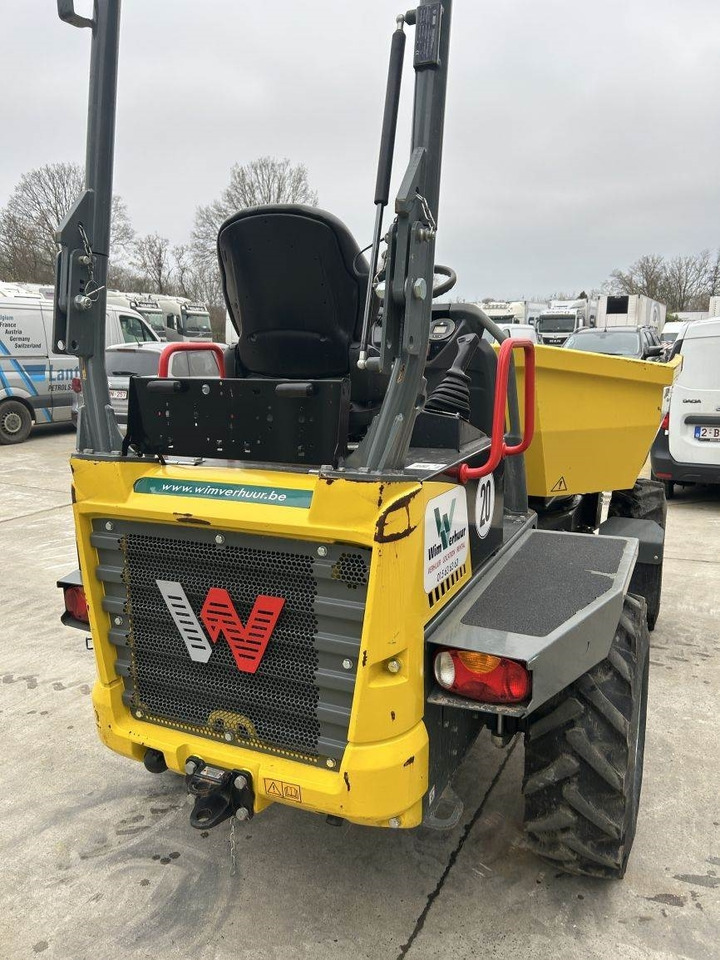Neuson Wacker Neuson DW30 (8303) - Dúmper articulado: foto 5 Neuson Wacker Neuson DW30 (8303) - Dúmper articulado: foto 5